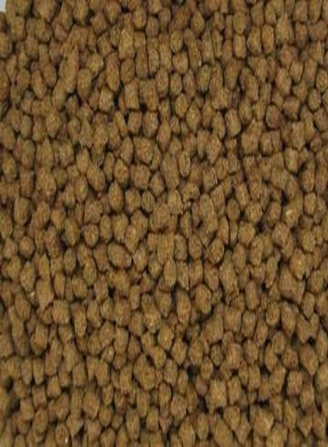 Invert Aquatics NutriSpheres - Sinking Diet for Snails, Shrimp & Bottom Feeding Fish - Image 3